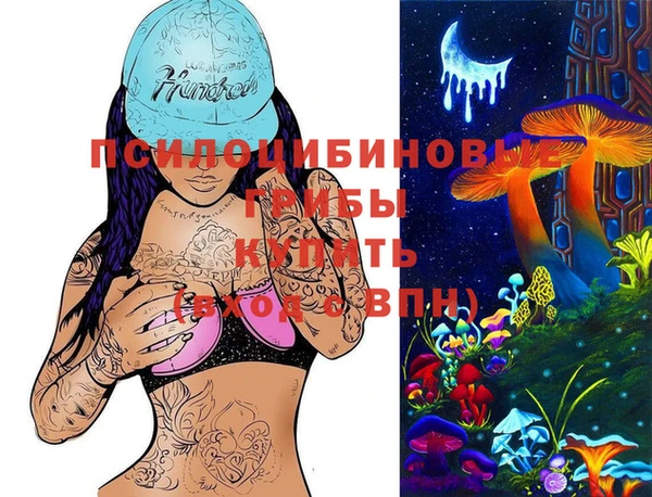 героин Алексин