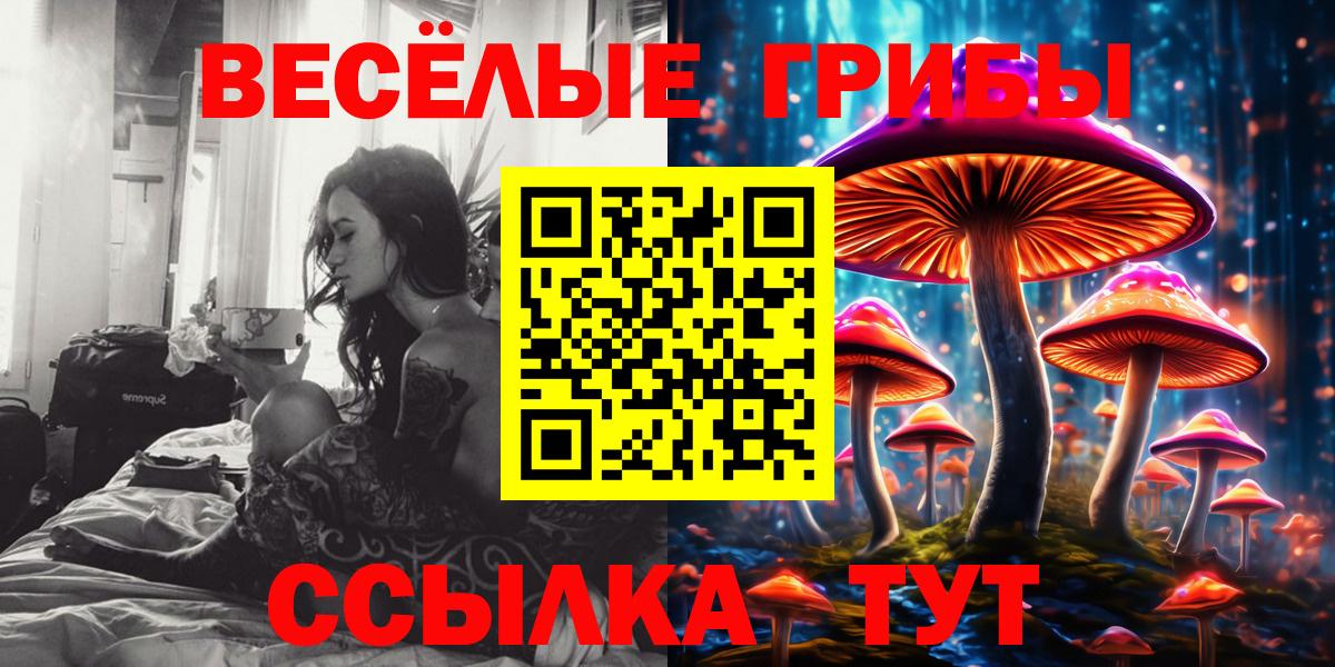 Галлюциногенные грибы GOLDEN TEACHER Железноводск