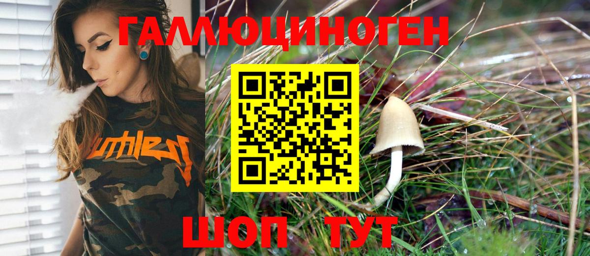 Железноводск  Галлюциногенные грибы Psilocybine cubensis  Вход с VPN 